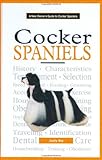 A New Owner's Guide to Cocker Spaniels