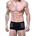 Welltogther Mens Ice Silk Boxer Briefs Breathable Panties Underwear