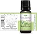 Plant Therapy Organic Lemon Eucalyptus Essential Oil 100% Pure, USDA Certified Organic, Undiluted, Natural Aromatherapy, Therapeutic Grade 10 mL (1/3 oz)