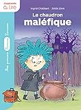 Un sorcier à l'école : Le chaudron maléfique by