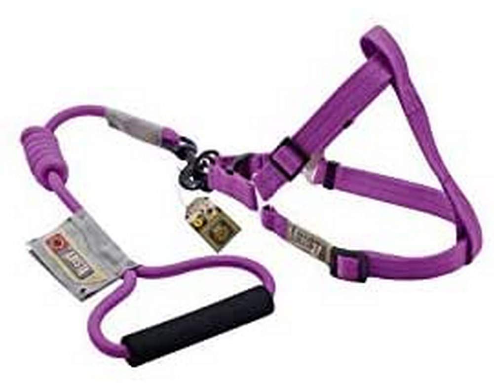 Zeus 99382 Harness and Leash for Dog Arista Round M, Red