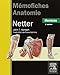 mémofiches anatomie Netter ; membres (3e édition) (French Edition) by