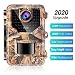 Sesern Trail Camera 16MP 1080P, IP66 Waterproof Game Cam with 940nm No Glow IR Night Vision to 65ft, 2.4 inches Color Screen, 0.2 Trigger Time Motion primary