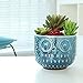 MyGift 5 Inch Whimsical Ceramic Succulent Cactus Herb Planter Pot with Textured Owl Face Design and Blue Glossy Finish