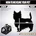 GORILLA GRIP Pet Cat Carrier for Cats or Small Dogs, Animals Up to 15lbs, Soft Sided Collapsible Travel Bag for Puppy Dog or Kitty, Comfortable Carry for Airport Traveling