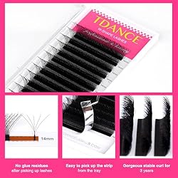 TDANCE W Eyelash Extensions 5D Premade Fans W