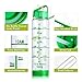 Easy Clean 32 Oz Straw Water Bottle, Eco friendly Measurement Markings Water Bottle Time Marker, Leak Proof BPA Free Fruit Infuser Green Bottle Oz Tracker, Office 1 Liter Gym Bottle Reminder to Drink