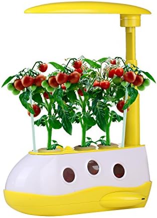 Plant Grow Reading Led Table Lamp Dimmable Learning Gift for Kids-Keep Fish Environmental Protection Mini Garden Touch Control