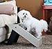 Etna Plastic Folding Pet Steps
