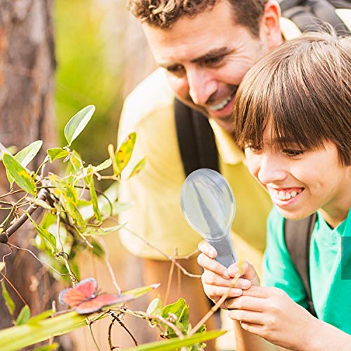 5 oppmart+Outdoor+Catcher+Catching+Observation