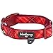Blueberry Pet 7 Patterns Soft & Comfy Scottish Aileen Red Plaid Tartan Style Designer Padded Adjustable Dog Collar, Large, Neck 18