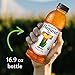Honest tea Organic Fair Trade Peach Tea, 16.9 Fl Oz (Pack of 12)