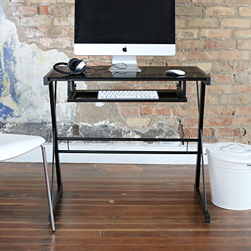 Walker Edison Modern Metal and Glass Laptop Computer Writing Desk