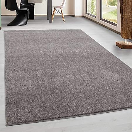 Teppich Kurzflor Modern Wohnzimmer Einfarbig Meliert Uni Gunstig