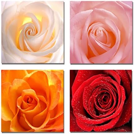 Yang Hong Yu Canvas Prints Four Colours Rose Pictures on Canvas Wall Art Framed Modern Decor Paintings Giclee Artwork for Home Decoration 12x12inch