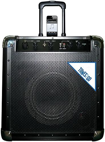 TUNES2GOGA11080 Portable PA System and Guitar Amplifier