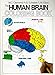 The Human Brain Coloring Book (Coloring Concepts) by 
