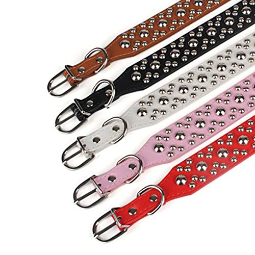 Fabal New Rivet Studded Dog Collar Medium Large Pet Dog Pitbull Bully Terrier Collars (M, Black)