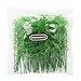 WINOMO Model Bamboo Trees Miniature Landscape Bamboo Trees Scale 1:75, Pack of 100 (Green)