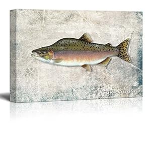 Green Pink Salmon Fish Illustration on a Textured Background - Canvas Art Home Art - 12x18 inches