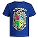 Harry Potter Toddler Boys 3 Pack Pullover T-Shirts Blue/Grey/Red 2T