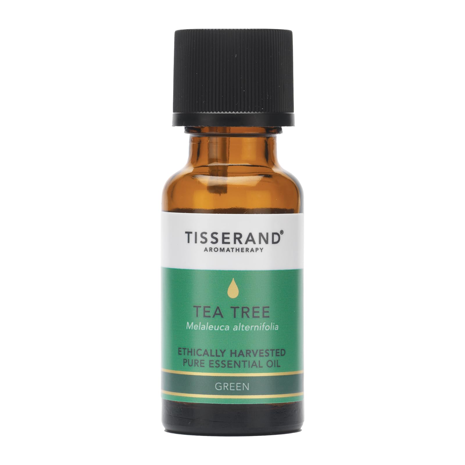 Tisserand - Tea Tree - Ethically Harvested, 100% Natural Pure Essential Oil - Massage Oil for Aromatherapy, Skin, and Diffuser - Aromatherapy Essentials - 20ml