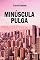 Livro Minúscula Pulga