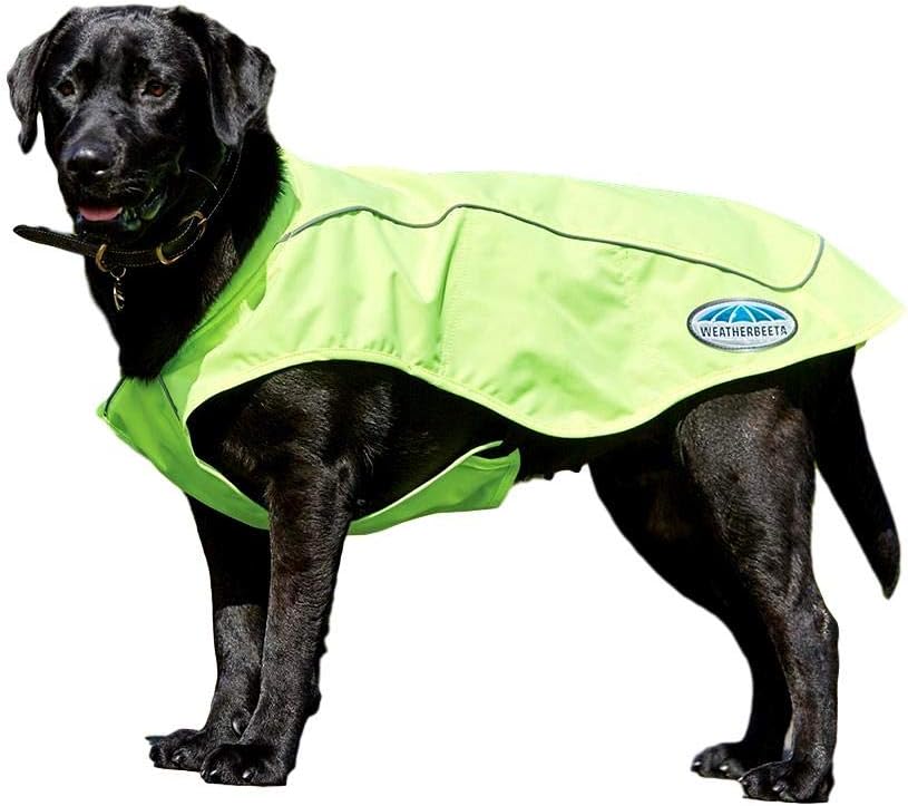 Weatherbeeta dog coat with harness hole Clearance