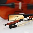 Glory Brazilwood Violin Bow 4/4 Frog with Natural Horsehair (4/4 full size)
