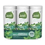Seventh Generation Multi-Purpose Wipes, Garden Mint, 111 Count