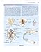Clinically Oriented Anatomy, Fifth Edition