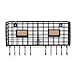 WALL35 Foyer Organizer Wire Rack Wall Mountable with 10 Hooks for Keys Hats Umbrellas Coats and Bags Black