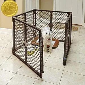 Petyard Stages Indoor/Outdoor Petyard