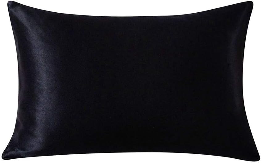 Ethereal Lomoer 100% Natural Pure Silk Pillowcase for Hair and Skin, Both Side 19mm, Hypoallergenic, 600 Thread Count, Hidden Zipper Design (Standard, Black)