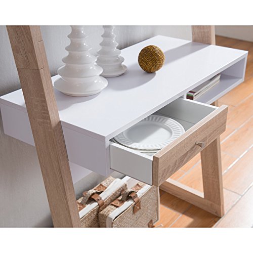 Furniture of America Tali Contemporary 2-tone Leaning ...