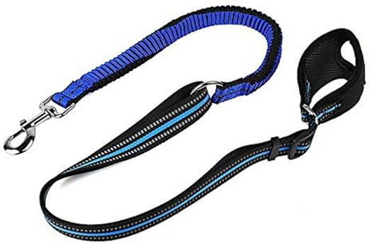 Fashion trendsetter Correa para Mascotas de Moda, Correa ...