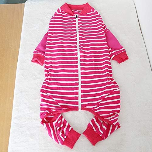 BT Bear Large Dog Clothes - Image 3
