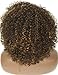 Kalyss Brown with Blonde Highlights Short Afro Kinky Curly Wigs for Black Women Premium Synthetic Hair Wigs with Hair Bangs 150% Density Bouncy and Full Natural Looking Hair Wigs