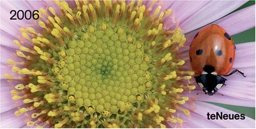 Flowers & Ladybug 2006 Calendar