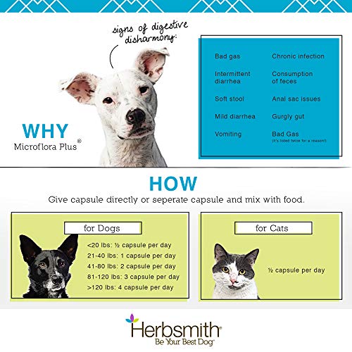 Herbsmith Microflora Plus Dog Digestion Aid Probiotics and Digestive