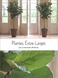 Plantes extra-larges pour la décoration d'interieur by