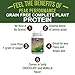 Organic Paleo Grain Free Plant Based Protein Powder. Complete Raw Organic Vegan Protein Powder. Amazing Amino Acid Profile and Less Than 1g of Sugar. Hemp Protein Powder, Pea Protein Powder Chocolatethumb 4
