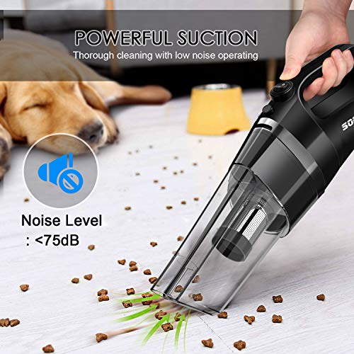 Cordless Vacuum Rechargeable Cyclonic Suction Vacuum Cleaner Lightweight Handheld Vacuum with Stainless Steel Filter (Bagless) and 6 of Accessories - Black