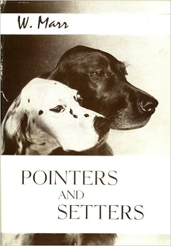 pointers and setters