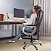 Ergonomic Office Chair, Becozier Mesh Desk Task Chair with Lumbar Support and Super-Thick Mesh Seat-Cushion, Adjustable Head & 3D Flip-up Arms, Swivel Task Chair for Office Conference Room