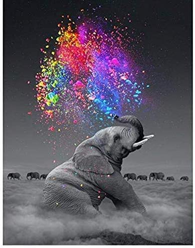 DIY Paint by Numbers for Adults DIY Oil Painting Kit for Kids Beginner (Elephant Frame)