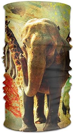 Magic Headwear African Collage Outdoor Scarf Headbands Bandana Mask Neck Gaiter Head Wrap Mask Sweatband