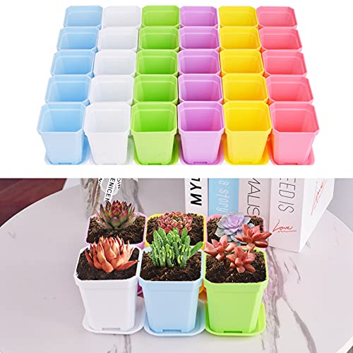 30Pack Square Plastic Plant Pots with Drainage Holes, Mini Flower Pots
