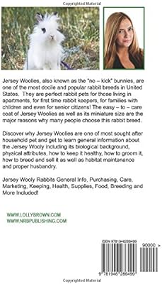 jersey wooly rabbit care