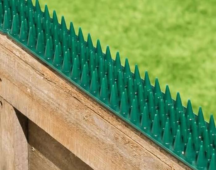 Primrose Fence Spikes - Cat Garden Wall Security Anti Climb Detterent Spike Strips - Green - Pack of 10